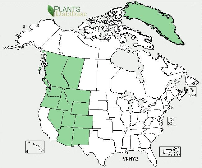 scientific names Common Name(s) Species Code (as per USDA Plants database) Geographic al range