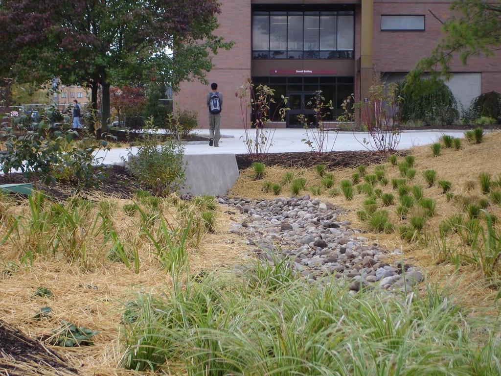 Bio-filtration wetlands integrated into the landscape design provide treatment for approximately 600,000 gallons of run-off per year from 38,500 sf of impervious surface.