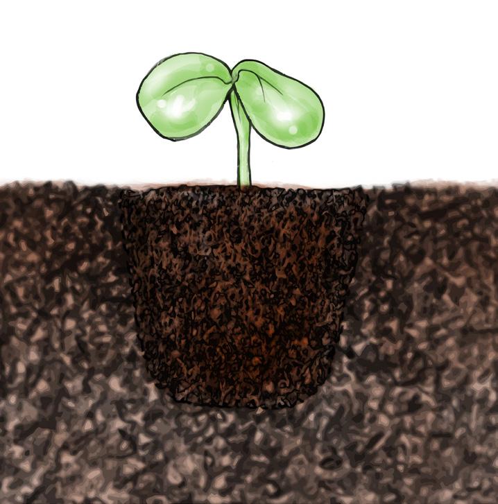 20: When starting with seedlings, (small starts or starter plants) clear a space in the soil of the side pocket equal to the size of the root ball, gently loosen
