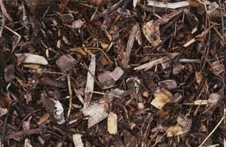 Organic/Mulch Layer Organic/mulch layer provides a medium for biological growth microorganisms feed on organic pollutants Mulch is sustained by decomposition of organic materials added to site