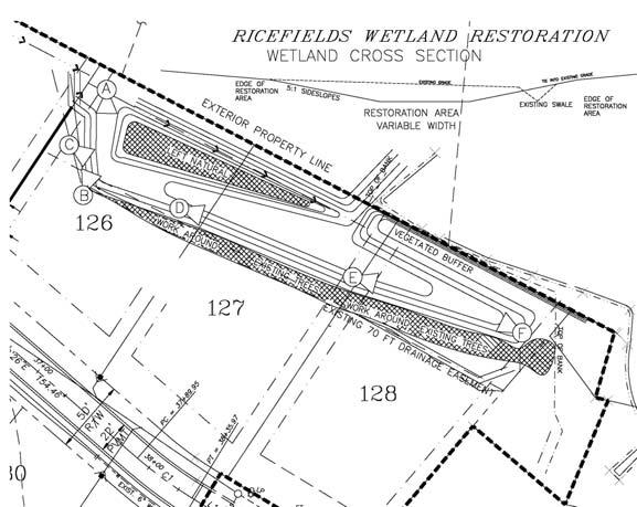 Ricefields Created Wetlands EARTHWORKS designed a created wetland to replace the form and function of the previous