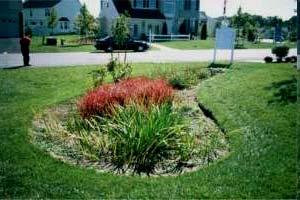 Integrated Management Practices Landscaping Tools Native Groundcover Landscaping