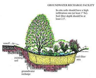Bioretention Structure and Function Bioretention facilities (rain gardens) may range from simple shallow depressions to more complex designs, but all are structurally engineered to provide the
