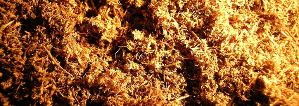 PEAT MOSS THE SECRET BEHIND PERFORMANCE 43 Fafard s harvest and quality control specialists have always promoted the merits of peat moss.