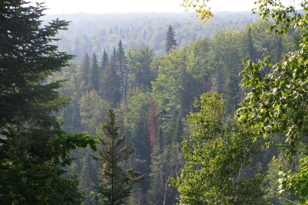 Pathway to 2020 Protected Areas Workshop for New Brunswick Setting the Stage for New
