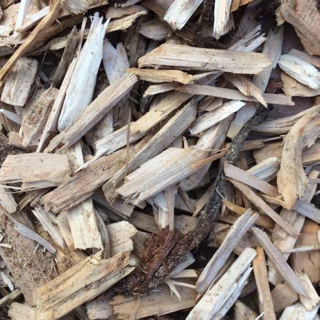 We ve chosen the best selection, ensuring we offer a bark for every requirement.