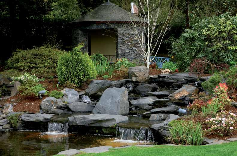 and rockery stones, true signature statements can be