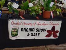 Annual Orchid Show and