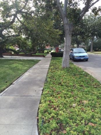 LANDSCAPING: By adhering to the following, you can make these landscaping changes to your parkway without permits: Landscaping should cover at