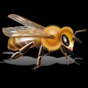Bees About one-third of the human diet comes from insect-pollinated plants, and the honeybee is responsible for 80 percent of that pollination!