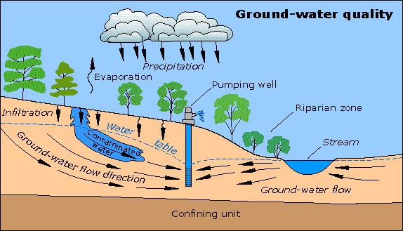 Water Beneath the Soil Surface water Precipitation that collects and flows above the ground Ponds, lakes, streams Ground water Surface water that has seeped into the ground through the pores