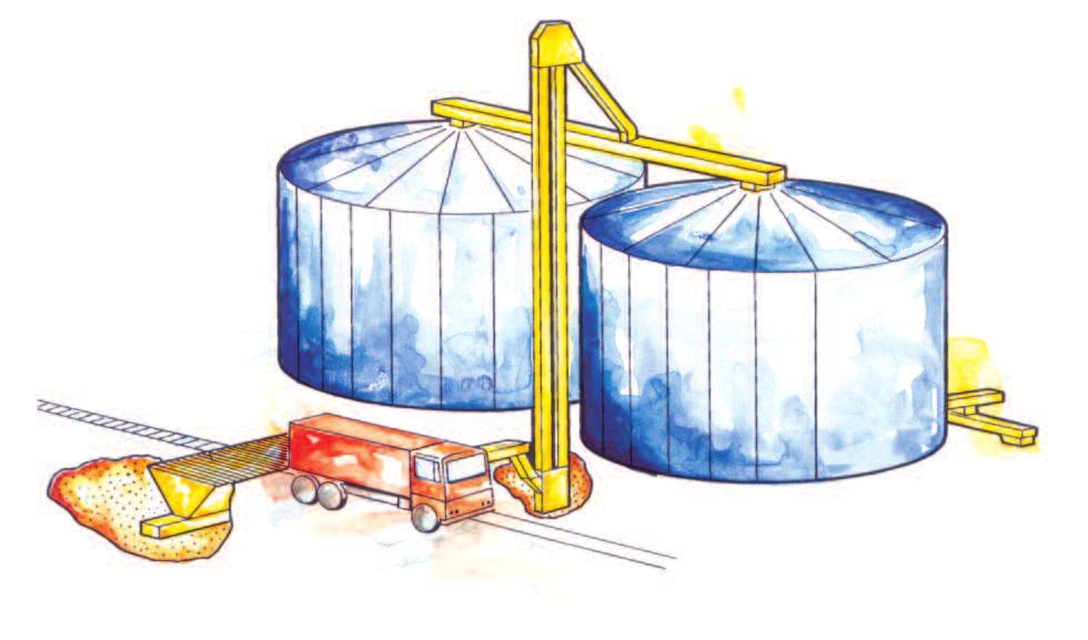 Intake and Storage Carefully selected barley consignments are delivered to malting plants mainly in bulk but sometimes in sacks.