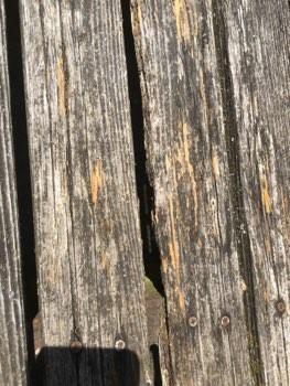 Decking boards decayed, recommend investigation of extent of damage and repair.
