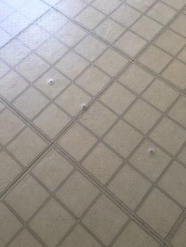 Flooring is individual vinyl squares in poor condition.