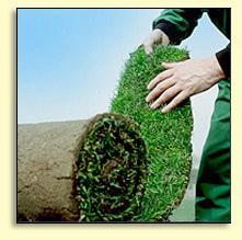 Guide for Laying Your New Lawn Laying cultivated turf will enable you to enjoy a fine lawn giving instant beautiful impact to your garden without the inconvenience, associated with seeding.