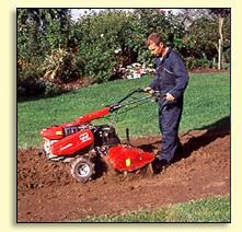The soil needs to be rotovated over thoroughly to a depth of 6 inches or 15cm using a spade or a powered cultivator.