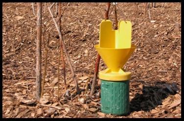 Japanese beetle trap used for monitoring OB populations Control. Admire Pro (imidacloprid) (4.6 lb ai/gal) is recommended to manage OB grubs infesting blueberries in New Jersey.