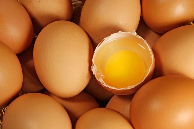 18. Fill in the blanks to describe this important guideline regarding egg safety. a. Pasteurized liquid, frozen, or dry shall be substituted for whenever served 19.
