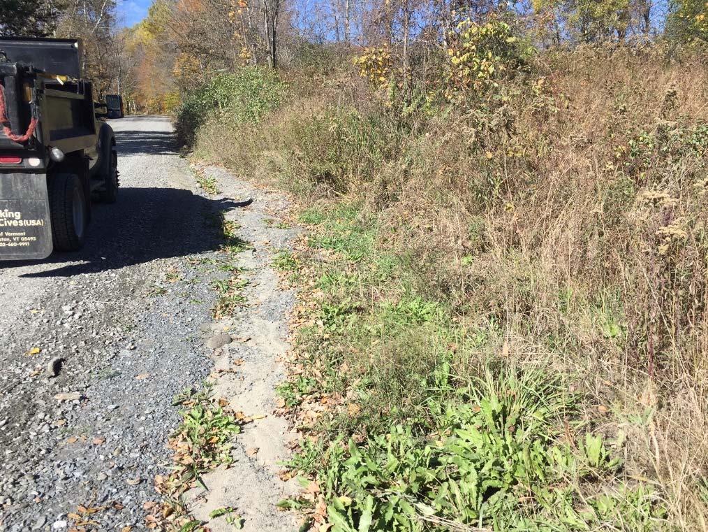 Project 4: Cookeville Road Best Management Practices: Stone-line from culvert/beaver pad to top of hill Upsize driveway culvert to 30 Stone-line above cross culvert Road Segment Name & Segment ID