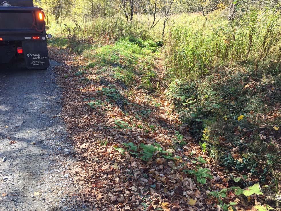 Project 14: Carpenter Place Best Management Practices: Clean turnout Take out small trees on right side Stone-line ditch Road Segment Name & Segment ID Number: Road Average Road Site Number: Grade: