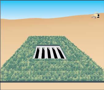 Straw In Northern NV, sod can provide immediate protection around storm drain inlets, on slopes, and other critical areas. However, sod is rarely used in Southern NV.