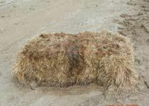 Using Silt Fence and Fiber Rolls Straw bales should never be used alone for sediment control.