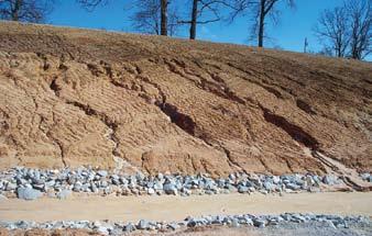 Remove rill and gully erosion from slopes, roughen soils, and reapply seed (in the Fall or
