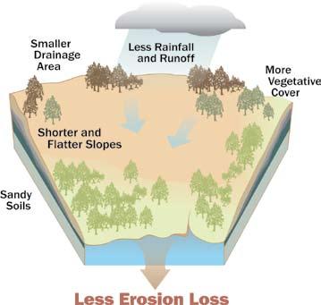 Lower rainfall amounts, flatter slopes, preserving existing vegetation, covering and stabilizing bare soils,