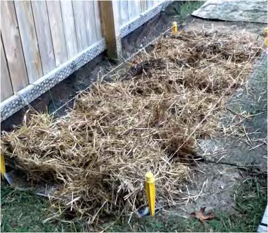 layers or so of newspaper as a barrier for weeds. Finally, cover the newspaper with a good soil mix (Soil mix is roughly 2/3 topsoil, 1/3 compost).