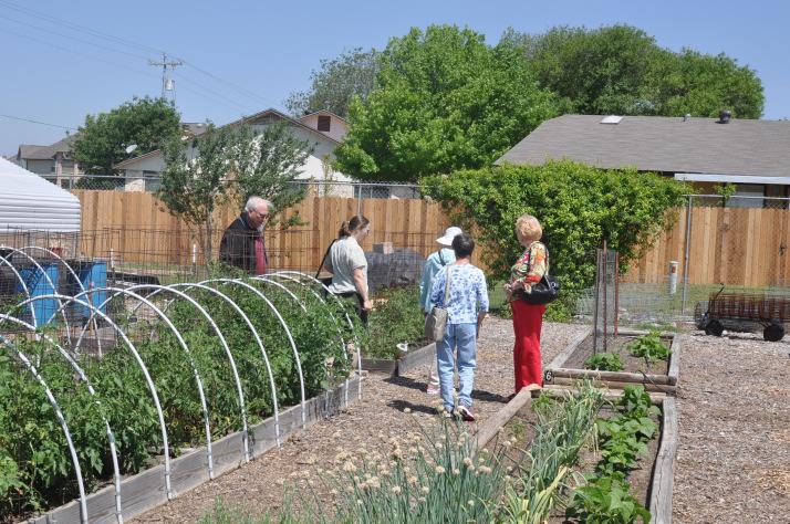 Community Garden - Updates from Ann & Dale Odvody 6/3 - Nice morning in the garden with lots of clouds to keep the temperature down. Almost looked like we could have gotten rain.