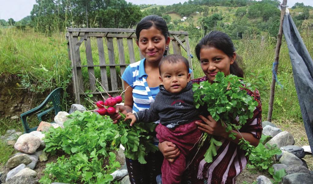 This family in Guatemala is now thriving because of the nutrient-rich vegetables