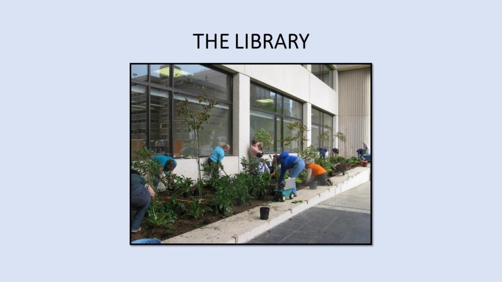 MG s hard at work planting the flower beds a the library.