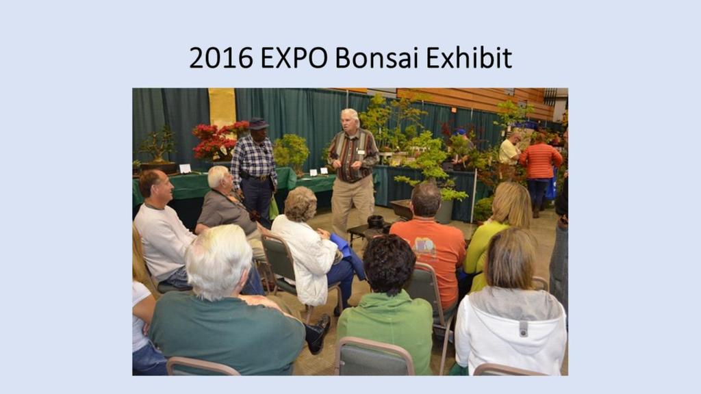 A bonsai expert and MG demonstrating