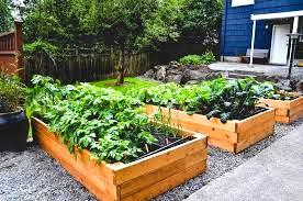 Benefits of an Edible Garden Problems with Lawns Gardening has many health & therapeutic benefits and can be enjoyed by everyone.