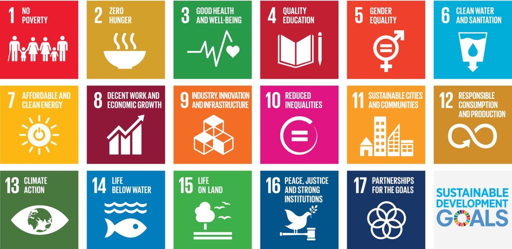 BACKGROUND Since January 2016, the 2030 Agenda and its 17 SDGs and 169 targets have shaped global development efforts.