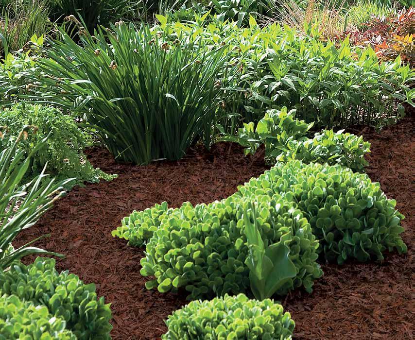 This realisticallytextured groundcover is made from 100% recycled rubber and will not fade,