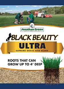 Dense Shade Mixture Grows in shady areas and dry soils where other seed mixtures have failed.