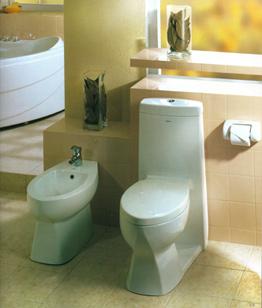 FAENZA SANITARY WARES Faenza is one of the three brands by Lehua Ceramic Sanitary Ware Co. Ltd. The factory is located in Shunde City, Guangdong Province.