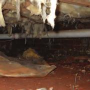 The exposed dirt in your crawl space acts