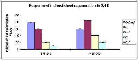 Fig. 2: Bar graph showing response of direct shoot regeneration to different concentrations of BAP with 0.5 NAA. Fig. 3.
