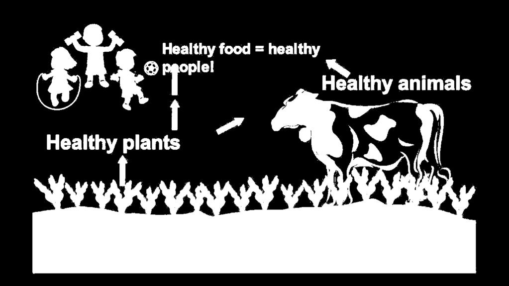 Healthy Soils