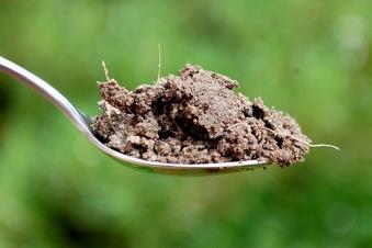 Soil Facts It can take up to 1,000 years for an inch of soil to form.