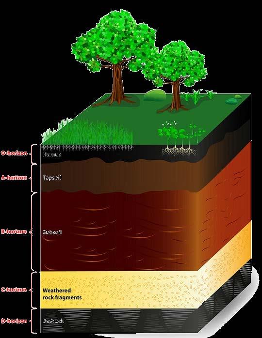 What are soils made up of?
