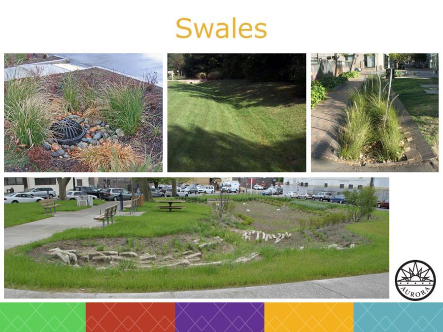 A swale is a shallow, vegetated water channel used to slow and divert water.