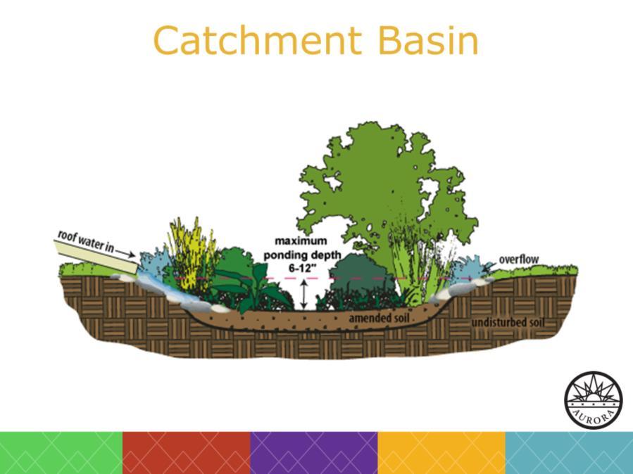 A particular kind of swale, these basins are lower than the ground level in a landscape and designed to catch water runoff and direct it toward the center.