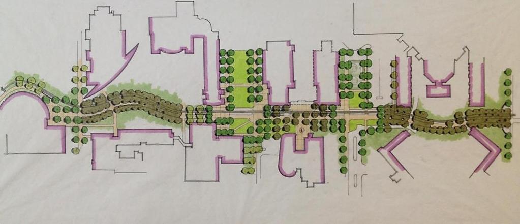 Green Spine Composition: PARK LIBRARY Movement through spine Interest through views and vistas Activity Definition to