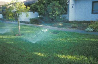 Landscape Irrigation: What Determines Water Use in a Landscape? 1. Growing environment 2. Types of plants!
