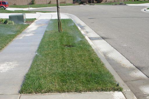 Turf Design from an Irrigation Standpoint: Curves are hard to irrigate -