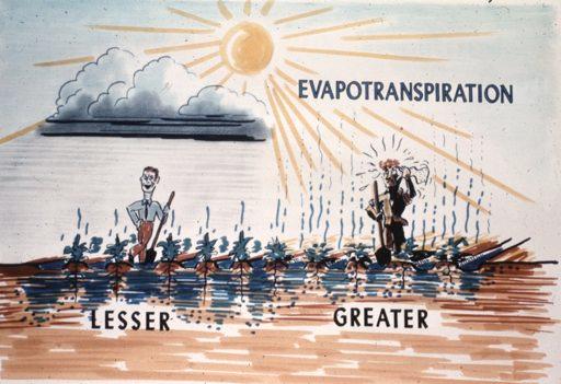 Plant Water Use:! Measure evapotranspiration (ET).
