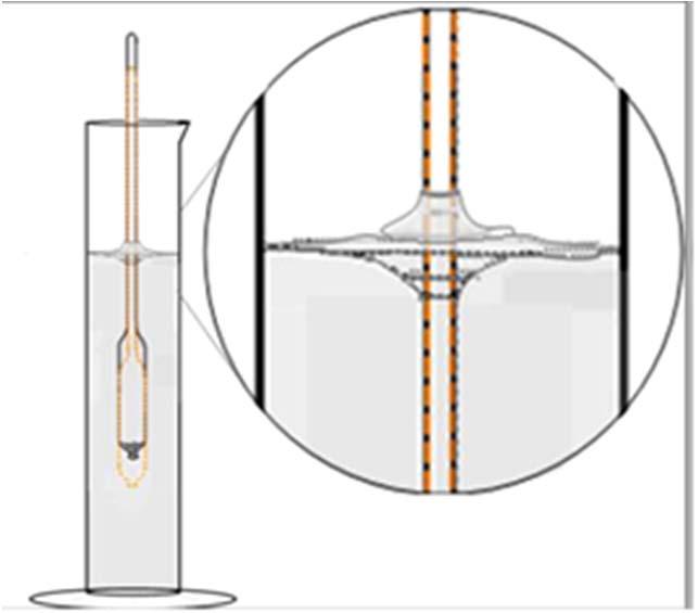 motion of the hydrometer, then this indicates that either the hydrometer or the surface of the solution is not clean.